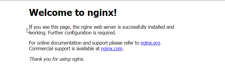 Nginx Default webserver