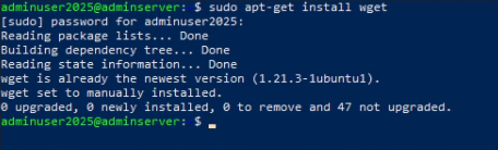 install wget in linux server screenshot