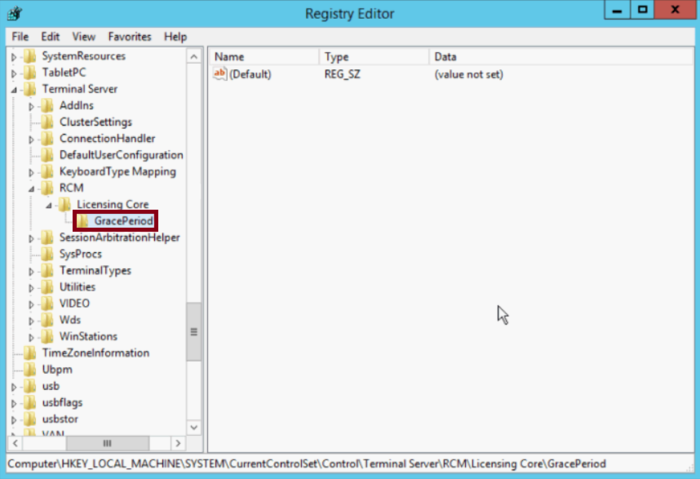 Grace period/ remote desktop licence 