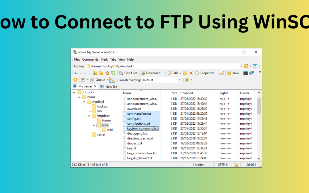How to Connect to FTP Using WinSCP