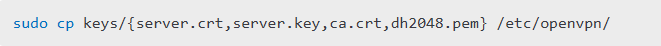 Copy the generated keys to OpenVPN’s directory