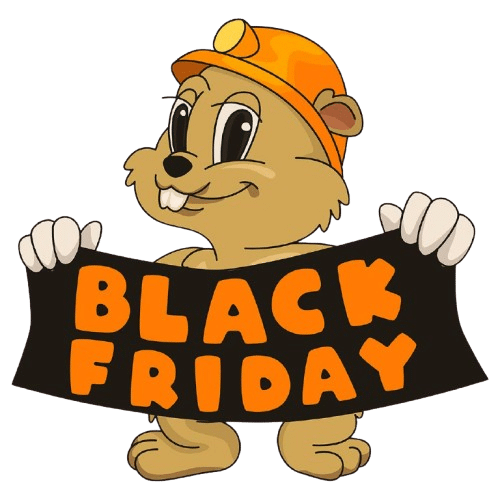 Black Friday Mega Sale - 99RDP Black Friday Mega Sale - 99RDP