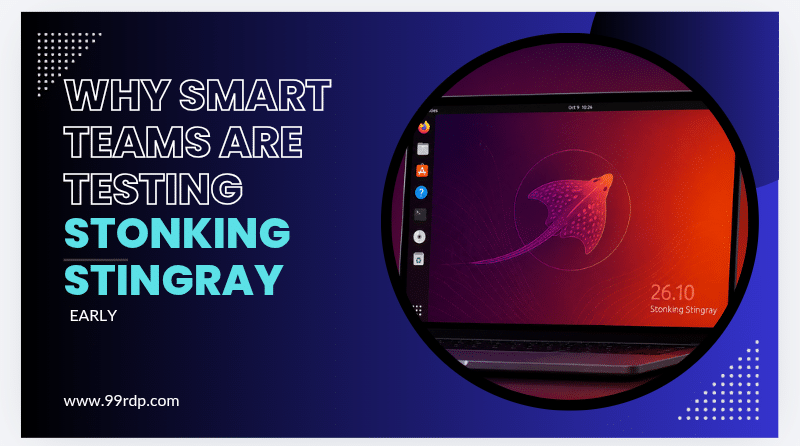 Why Smart Teams Are Testing Stonking Stingray Early